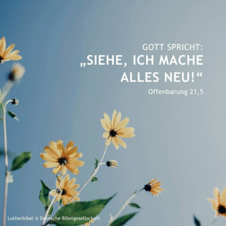 Jahreslosung_2026 1080x1080px - 3