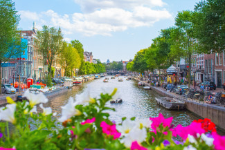 Häuser am Kanal in Amsterdam mit Blumen im Vordergrund