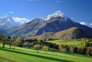 Berge mit grünen Wiesen und Wald bei blauem Himmel